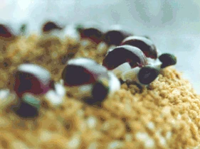 Nusstorte mit Beerendekor